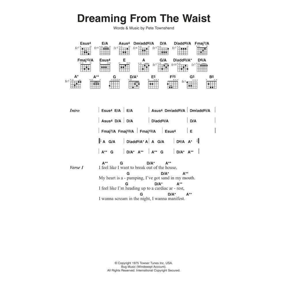 Dreaming From The Waist
