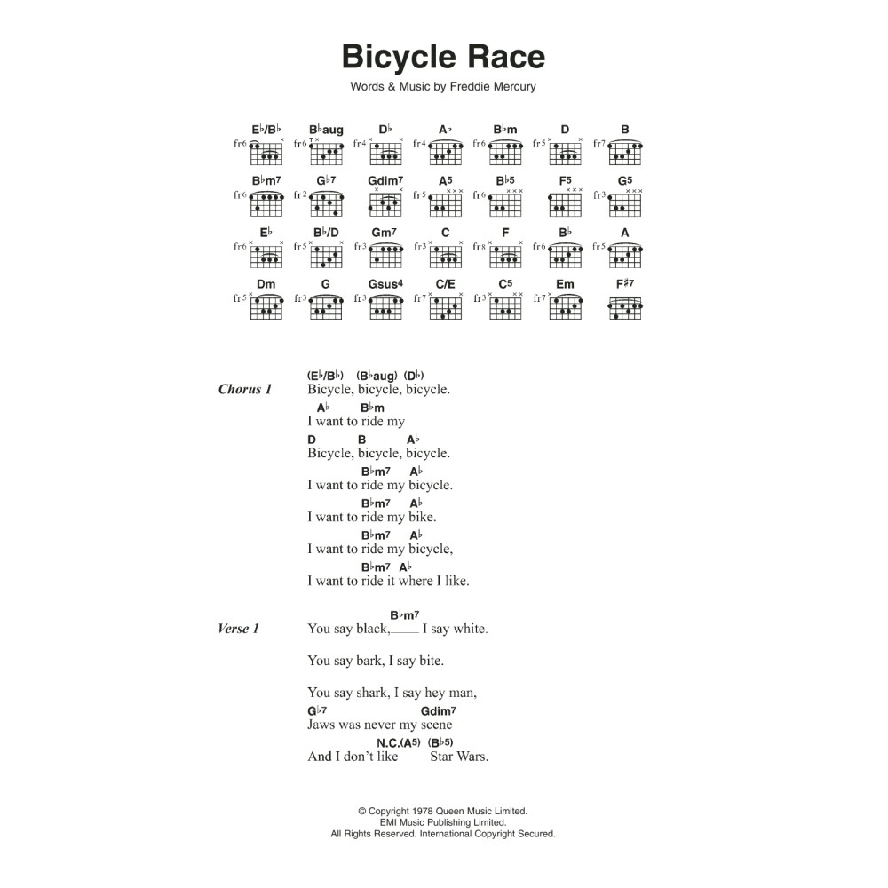 Bicycle Race