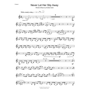 Never Let Her Slip Away