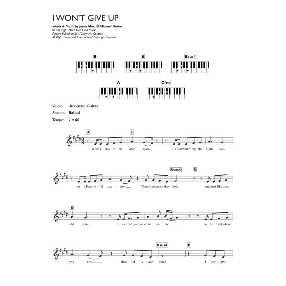 I Won't Give Up