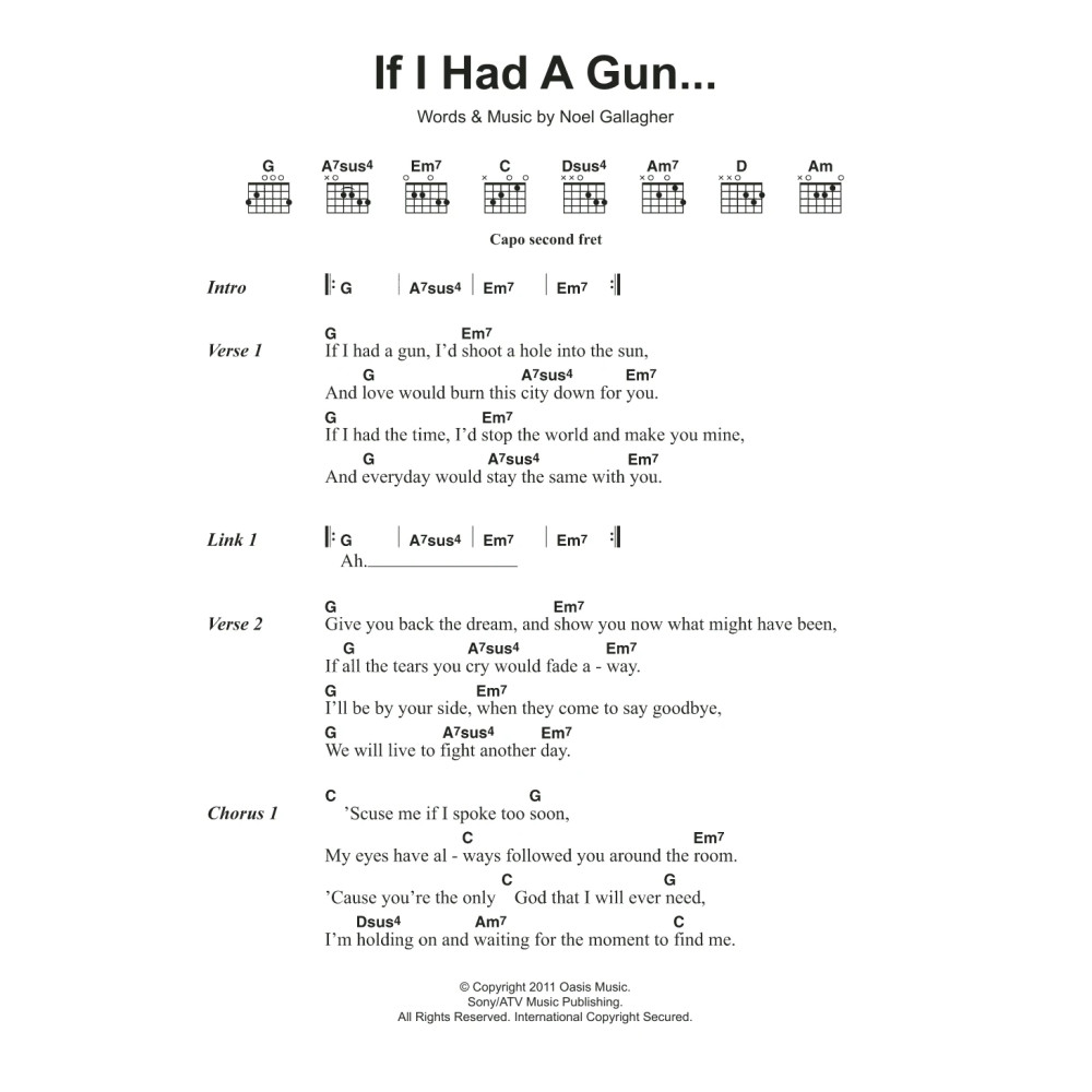 If I Had A Gun...