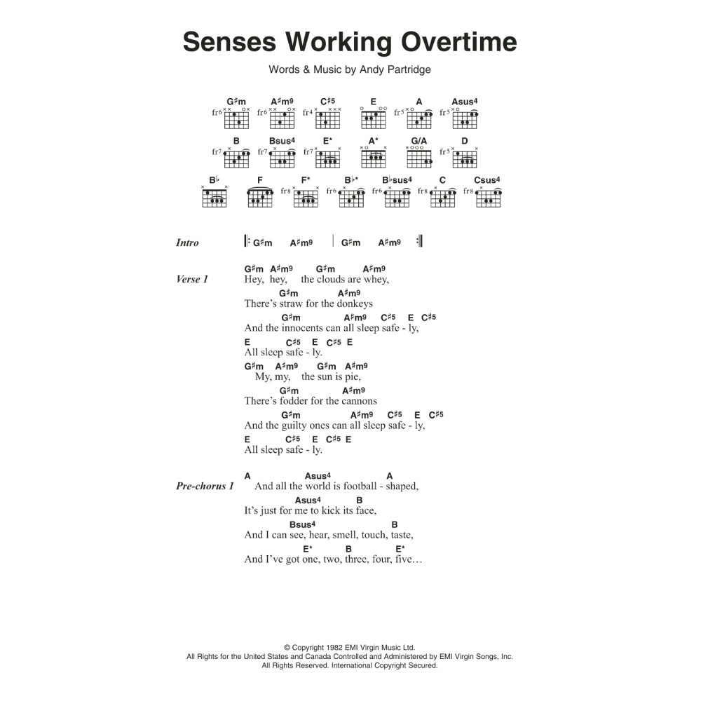 Senses Working Overtime