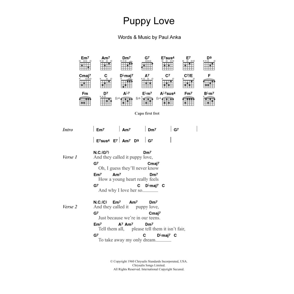 Puppy Love
