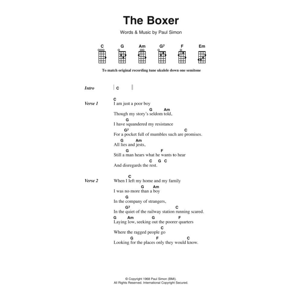 The Boxer