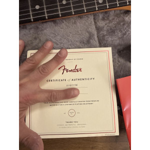 Fender telecaster american ultra II texas tea