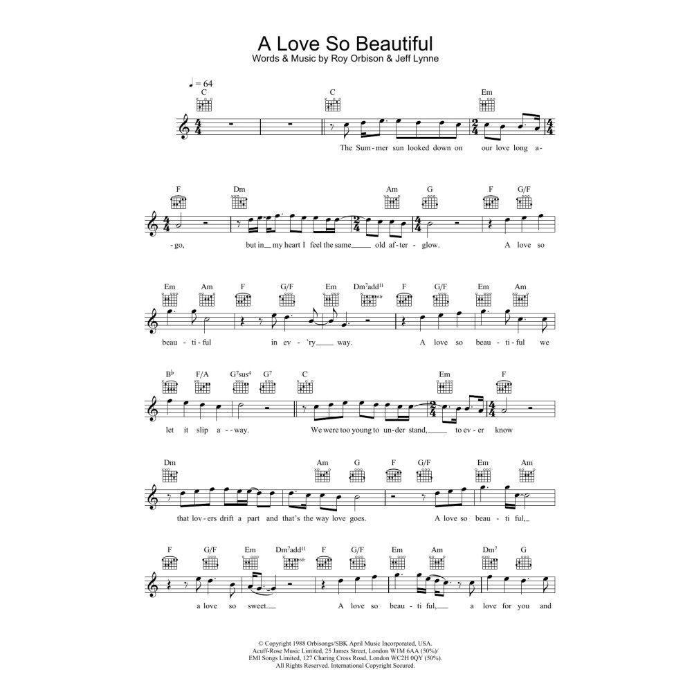 A Love So Beautiful