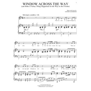 Window Across The Way