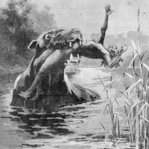 The Bunyip Song