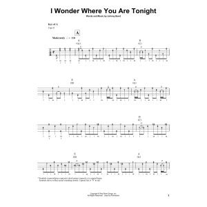 I Wonder Where You Are Tonight