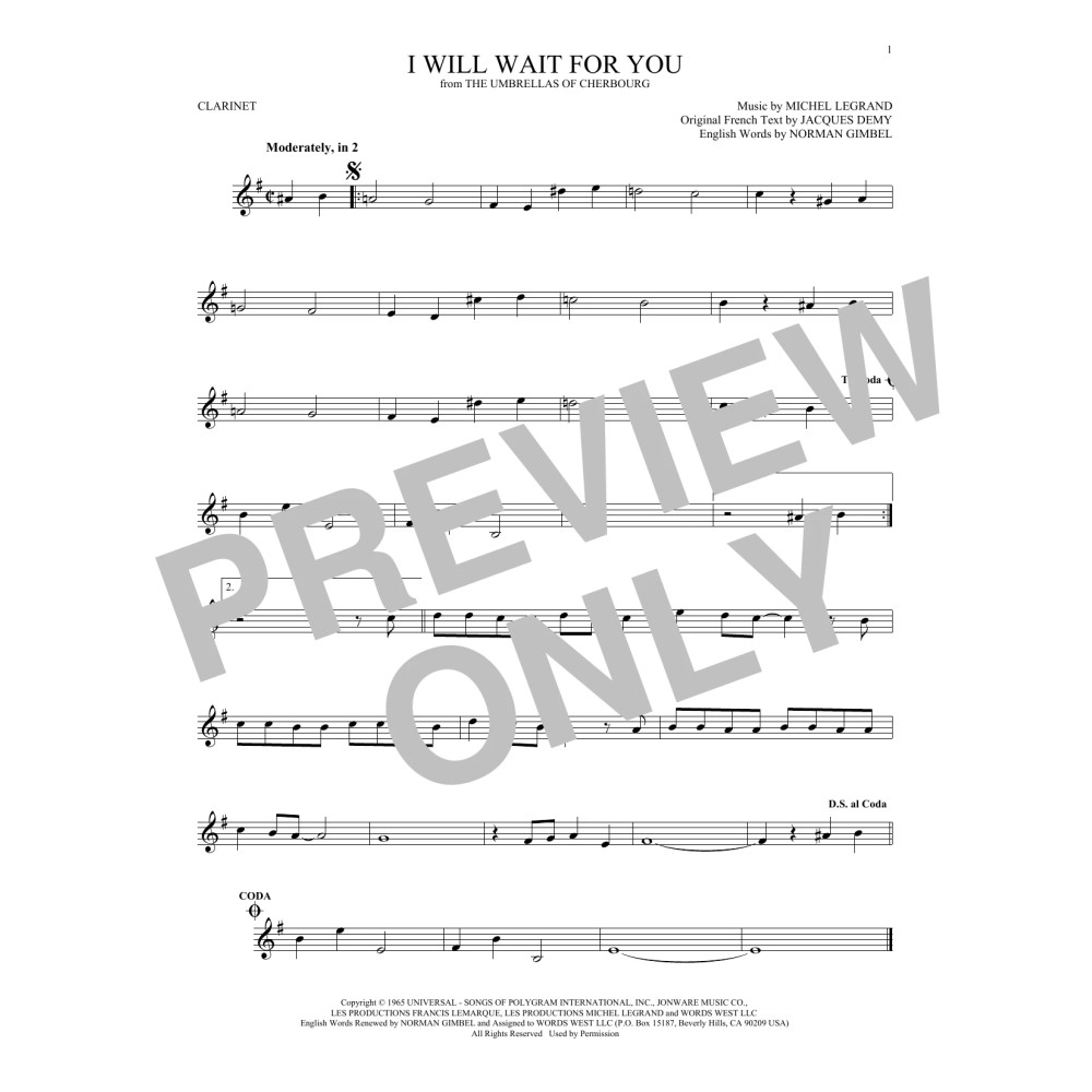 I Will Wait For You