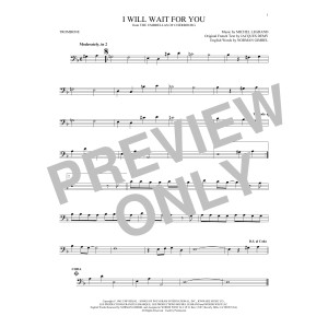 I Will Wait For You