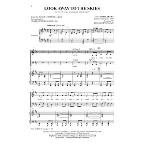 Look Away To The Skies