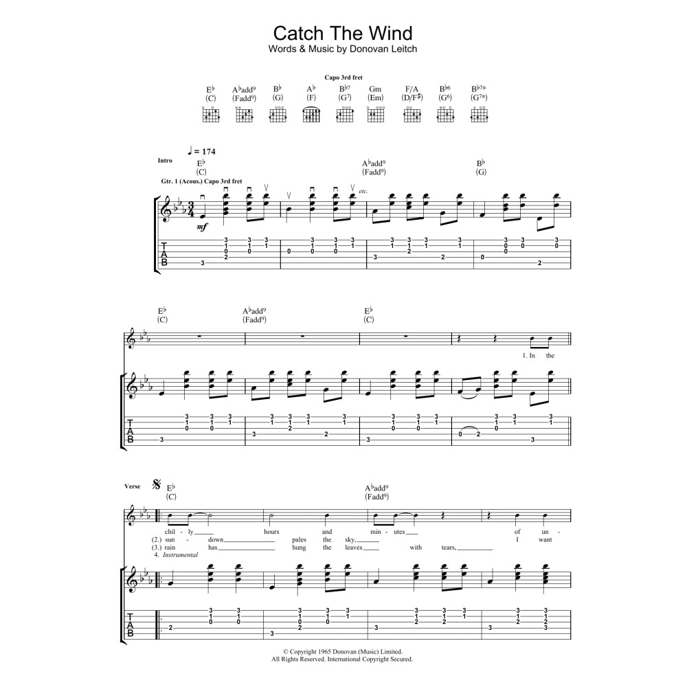 Catch The Wind