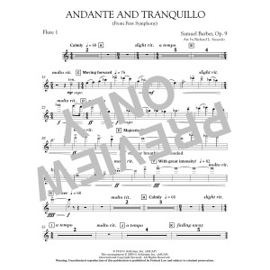 Andante and Tranquillo (from First Symphony) - Flute 1
