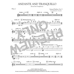 Andante and Tranquillo (from First Symphony) - Flute 2