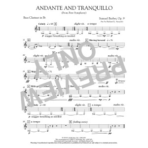 Andante and Tranquillo (from First Symphony) - Bb Bass Clarinet