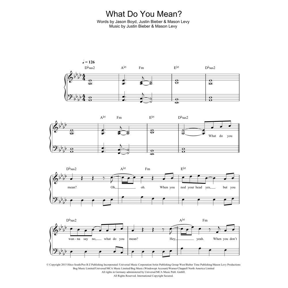 What Do You Mean?