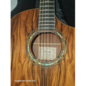Ibanez EW5OCBEN T1202 es una guitarra acústica electroacústica de la serie Exotic Wood de Ibanez. Con una tapa de abeto 