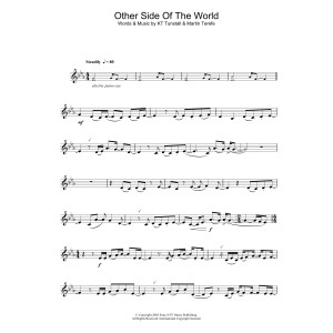 Other Side Of The World