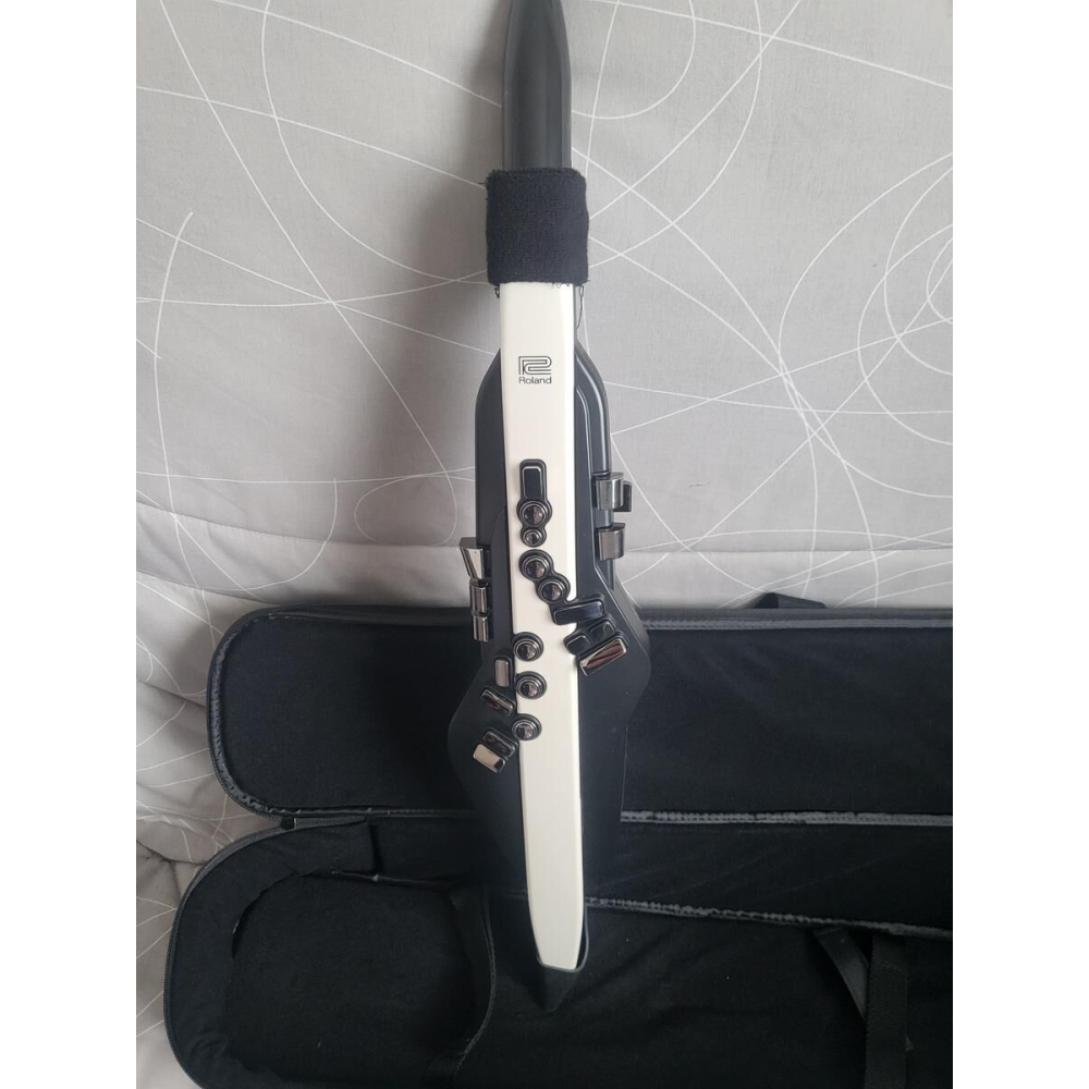 Roland Aerophone AE-20