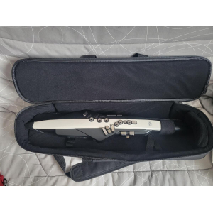 Roland Aerophone AE-20