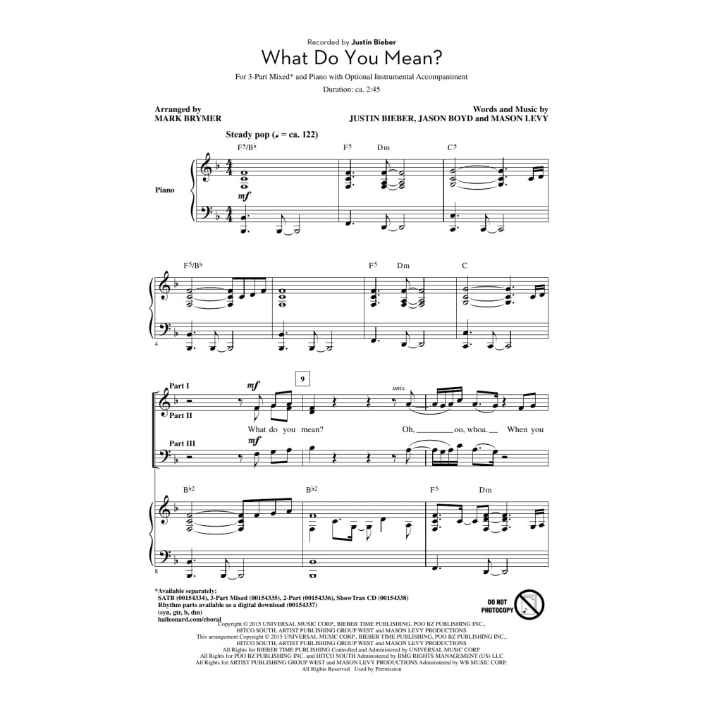 What Do You Mean?