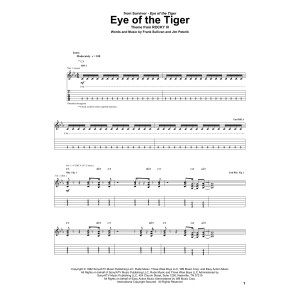 Eye Of The Tiger