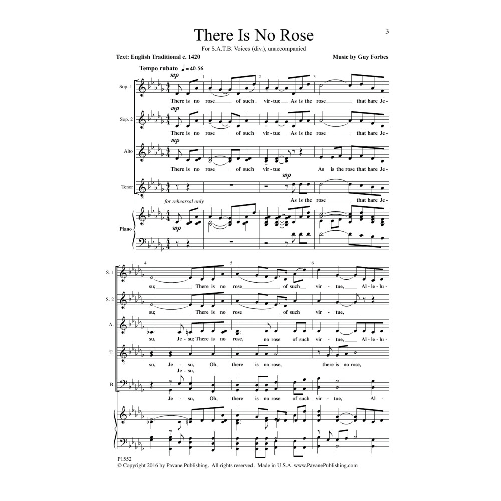 There Is No Rose