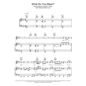 What Do You Mean?