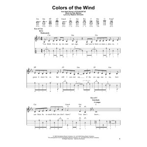 Colors Of The Wind (from Pocahontas)