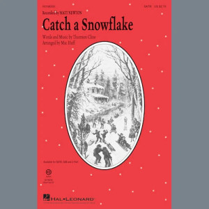 Catch A Snowflake