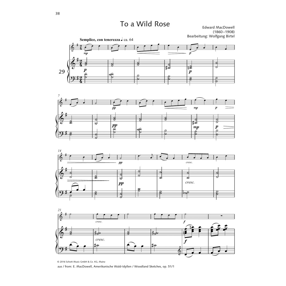 To a Wild Rose