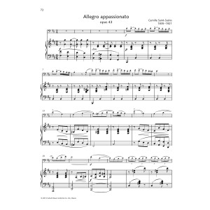 Allegro appassionato
