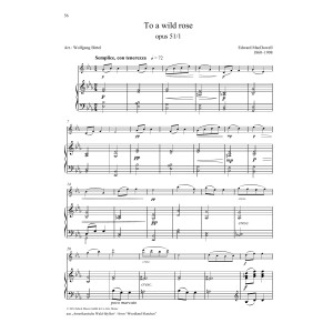 To a Wild Rose