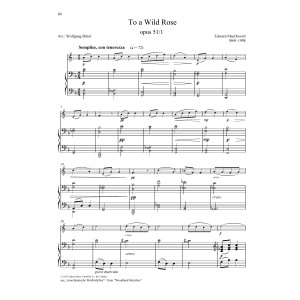To a Wild Rose
