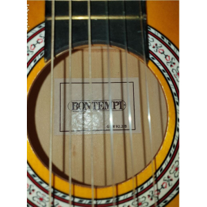 Guitarra Bontempi