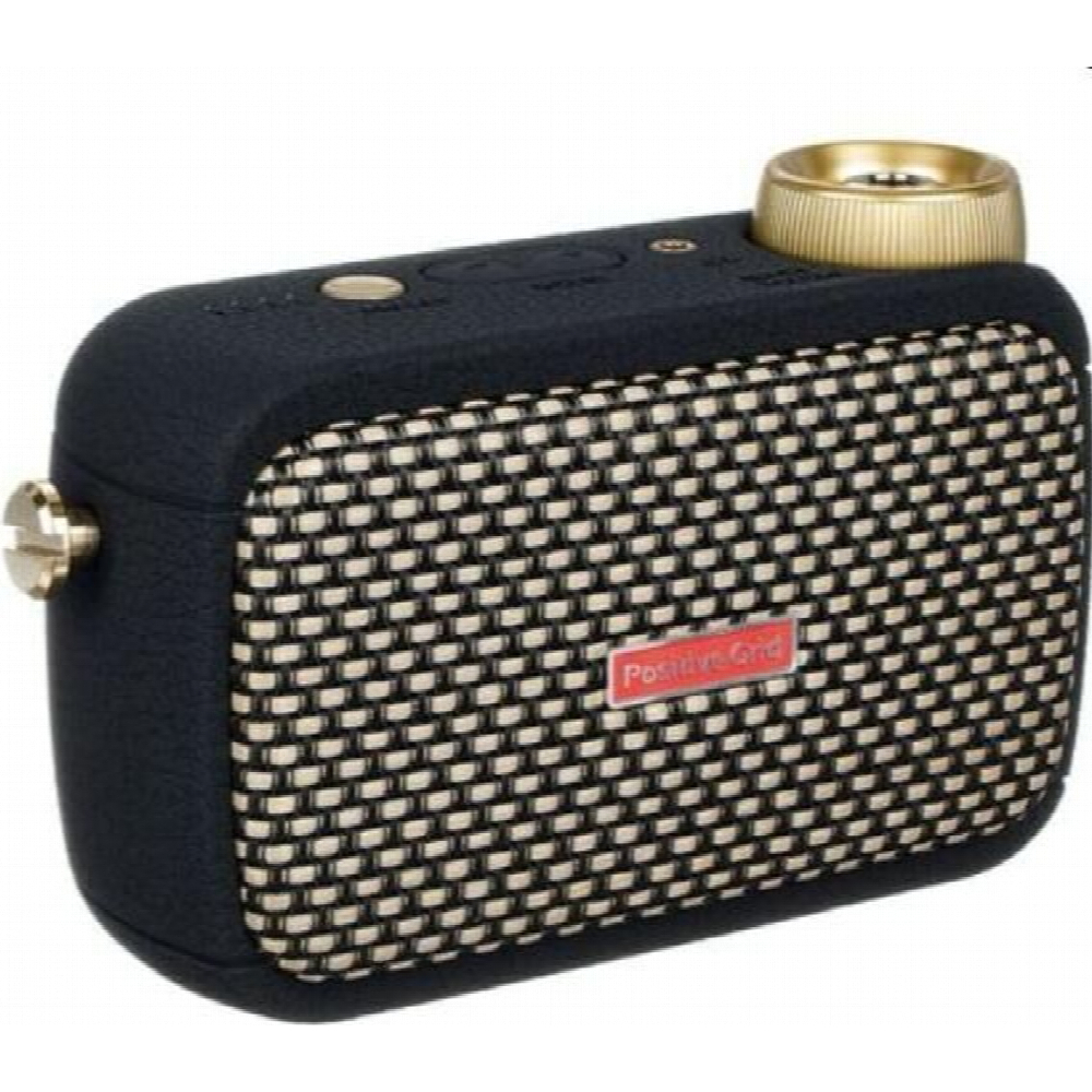 Positive Grid Spark Go