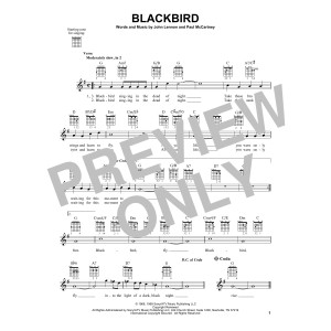 Blackbird