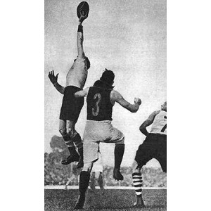 Up There Cazaly