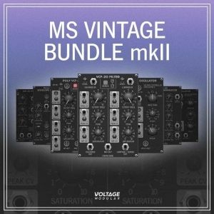MS Vintage Bundle for VM