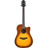 Schaffner Hd250-ce-brs