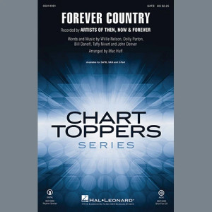 Forever Country - Synthesizer