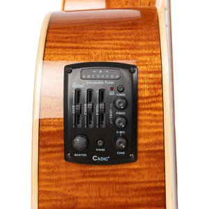 Stagg Sa45 Dce-fm/12