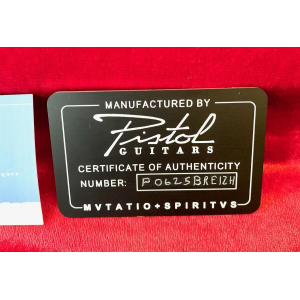 Pistol Guitars Spaceboard Custom 2025 PepeRock Naturel