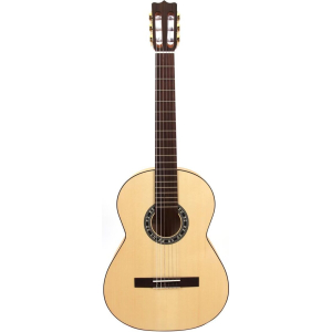 Aer Guitare Classique 4/4 Aer
