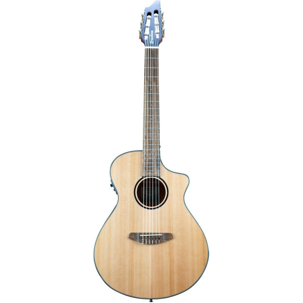 Breedlove Discovery S Concert Nylon Ce