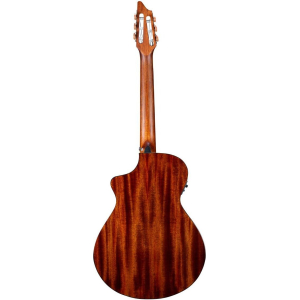 Breedlove Discovery S Concert Nylon Ce