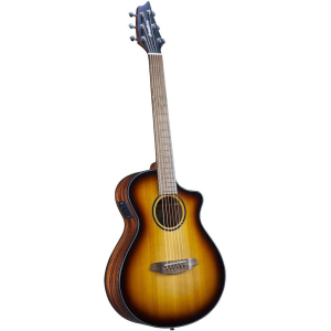 Breedlove Discovery S Companion Ce Edge
