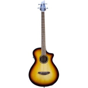 Breedlove Discovery S Concert Edge Basse