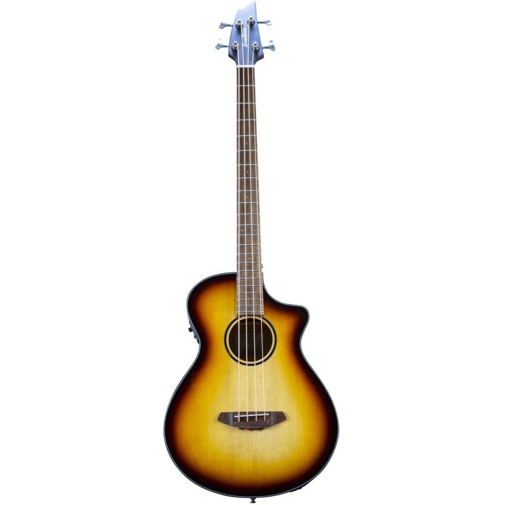 Breedlove Discovery S Concert Edge Basse